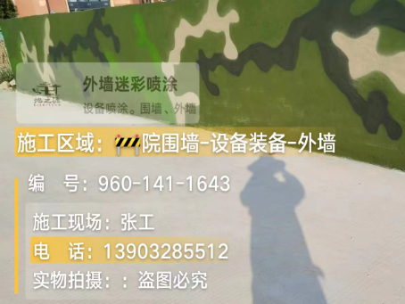 博尔塔拉 迷彩漆喷涂价格（按平方米计费）