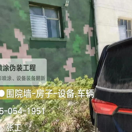 博尔塔拉数码迷彩漆施工